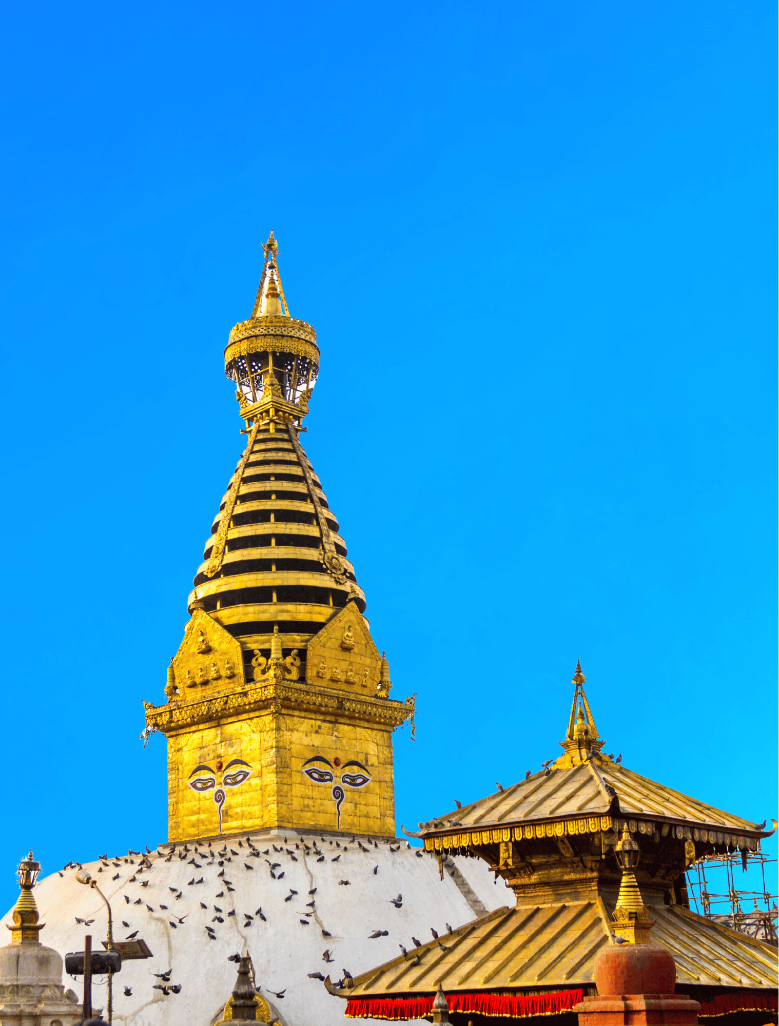 Nepal travel insurance albert & eddie